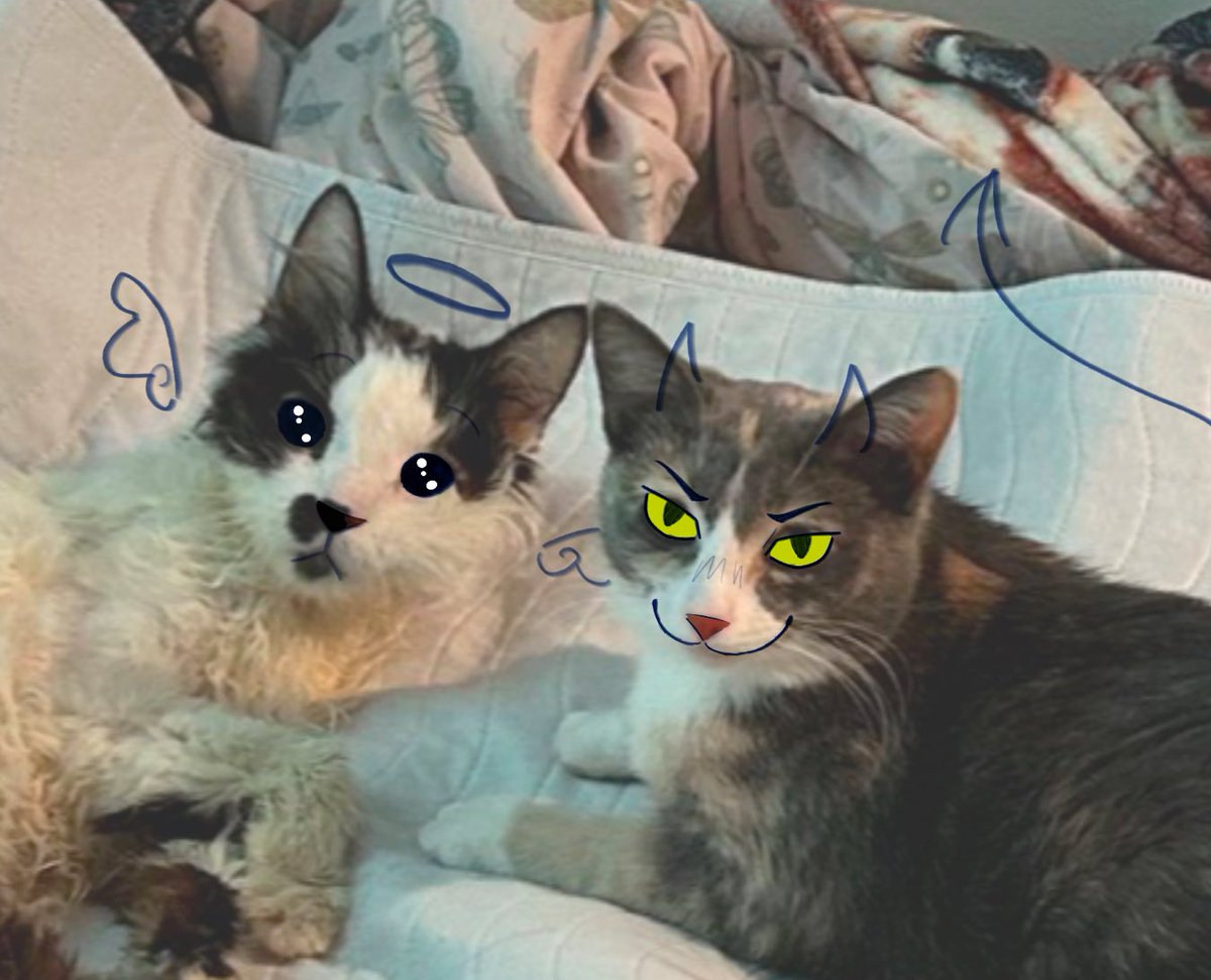 <a href="/oreoeocat/">monkey & zoe ❤️ oreo 🌈</a> their energy