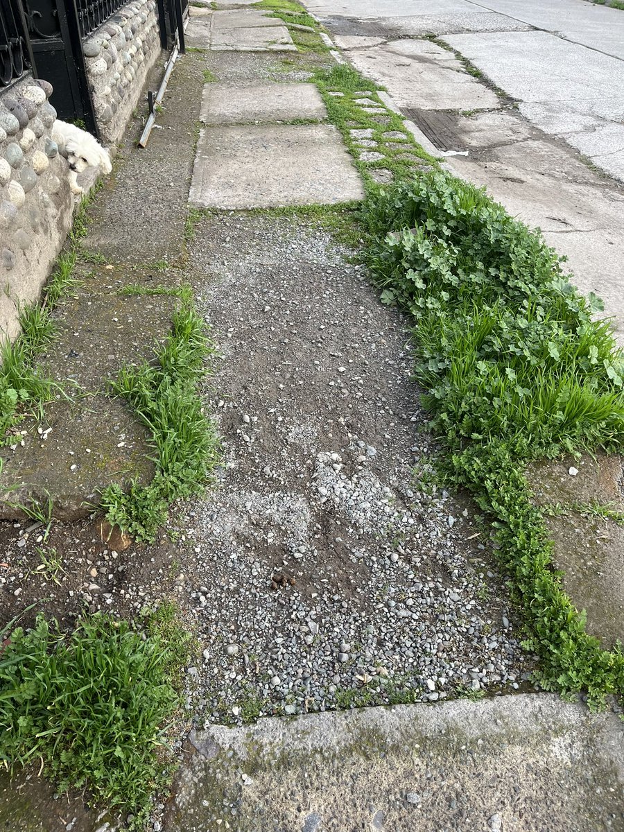 CkonstanzaM's tweet photo. Hola @MuniLaFlorida necesito saber cómo hacer una solicitud para que nos ayuden,  he intentado por varios medios pero no tenemos respuestas ni orientación, el asunto es que afuera de mi casa no existe vereda, está en pésimo estado y necesitamos que sea reparada https://t.co/twJricAWLc