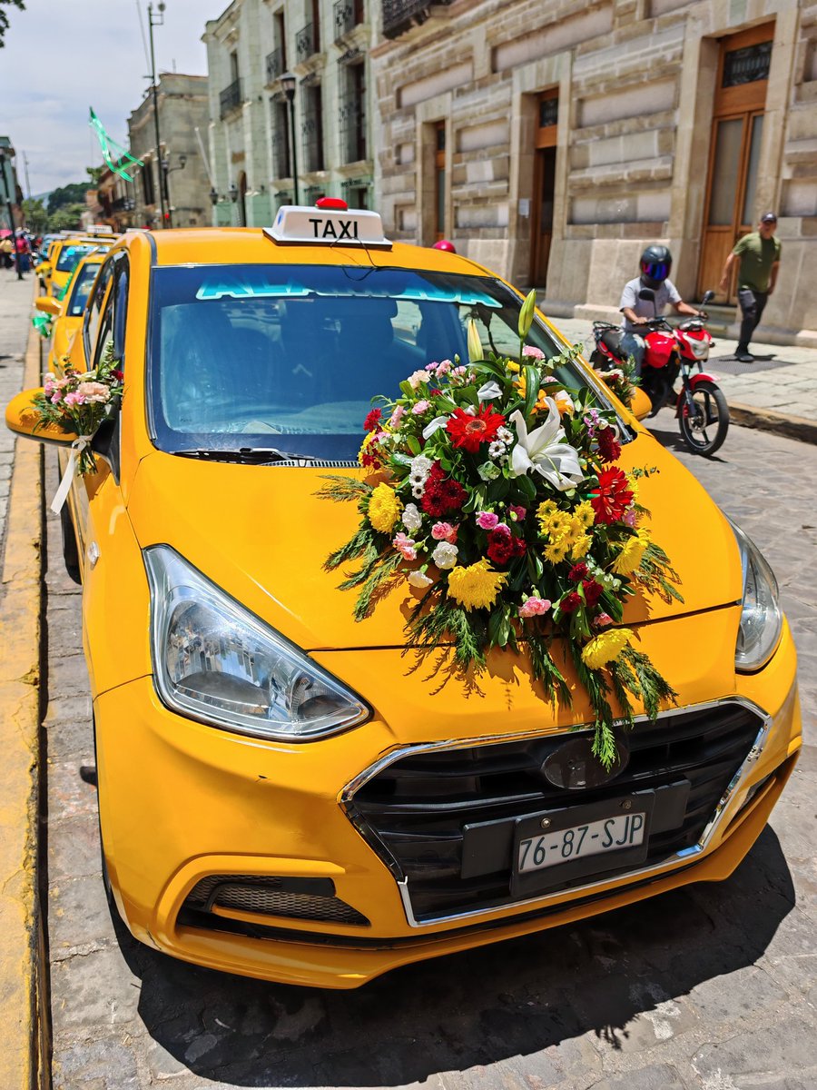 ToryLopezS's tweet photo. Agradezco a los Sitios Alameda, El Llano y Libertad la invitación que me hicieran para acompañar con motivo del Día del Taxista Oaxaqueño a la misa de acción de gracias realizada en la Catedral Metropolitana de nuestra capital. 

Reconozco su compromiso, vocación de servicio y esfuerzo diario por ser parte fundamental en la movilidad de las familias y el turismo, conectando comunidades con responsabilidad y compromiso. 

¡Felicidades! #DiaDelTaxistaOaxaqueño