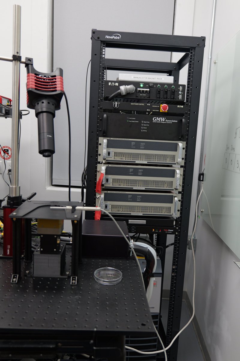 Quantum Biology DAO tweet media