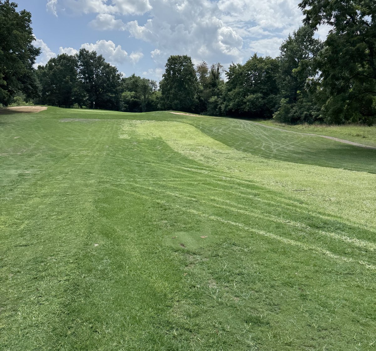 SuperProblems tweet media