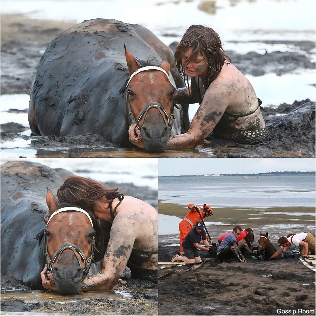 GossipRoomOff's tweet image. 🚨 Nicole Graham, une cavalière australienne, est restée plus de 3 heures aux côtés de son cheval, pour l’empêcher de se noyer.

Lors d’une promenade, le cheval s’est retrouvé piégé dans une boue, semblable à des sables mouvants. En attendant l’arrivée des secours, Nicole lui a…
