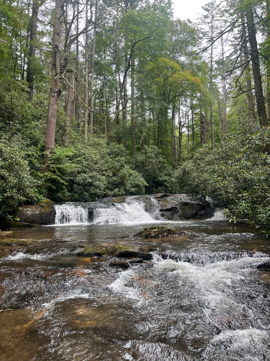 They don’t stock ones this pretty.