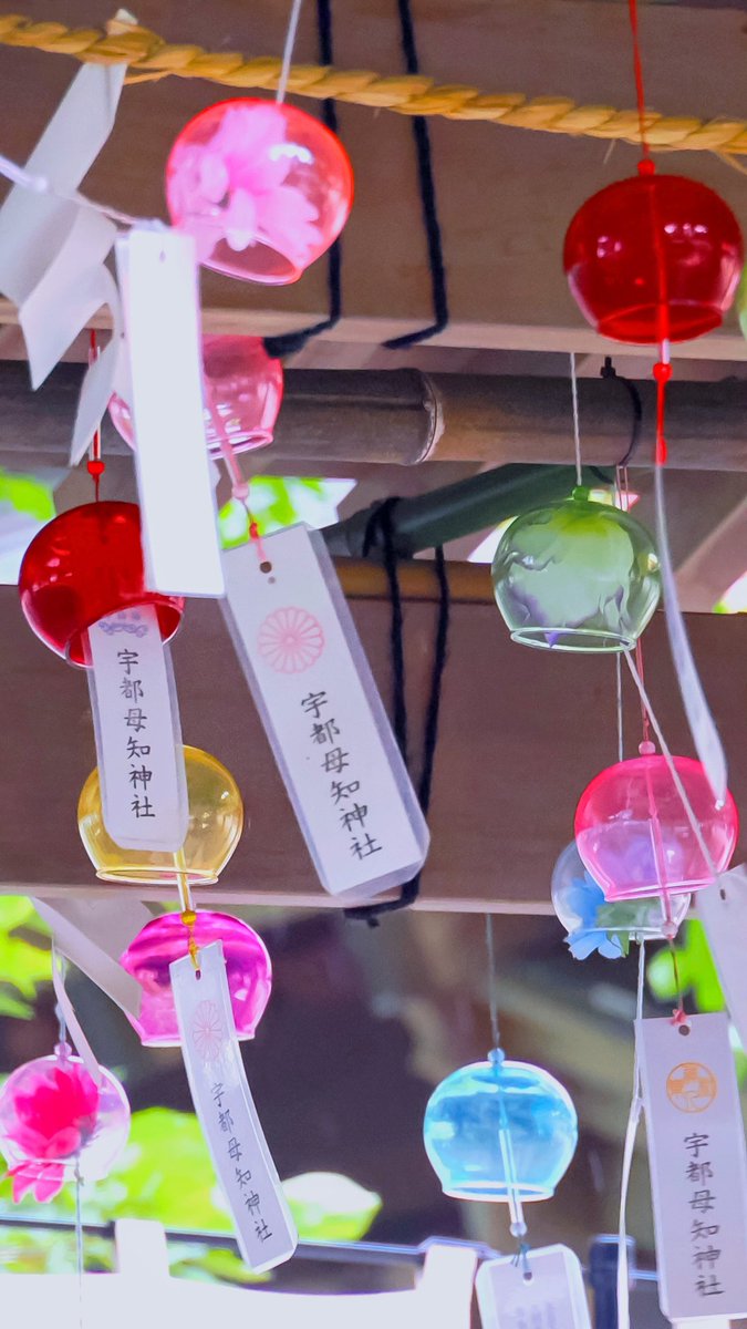 涼やかな一時🎐