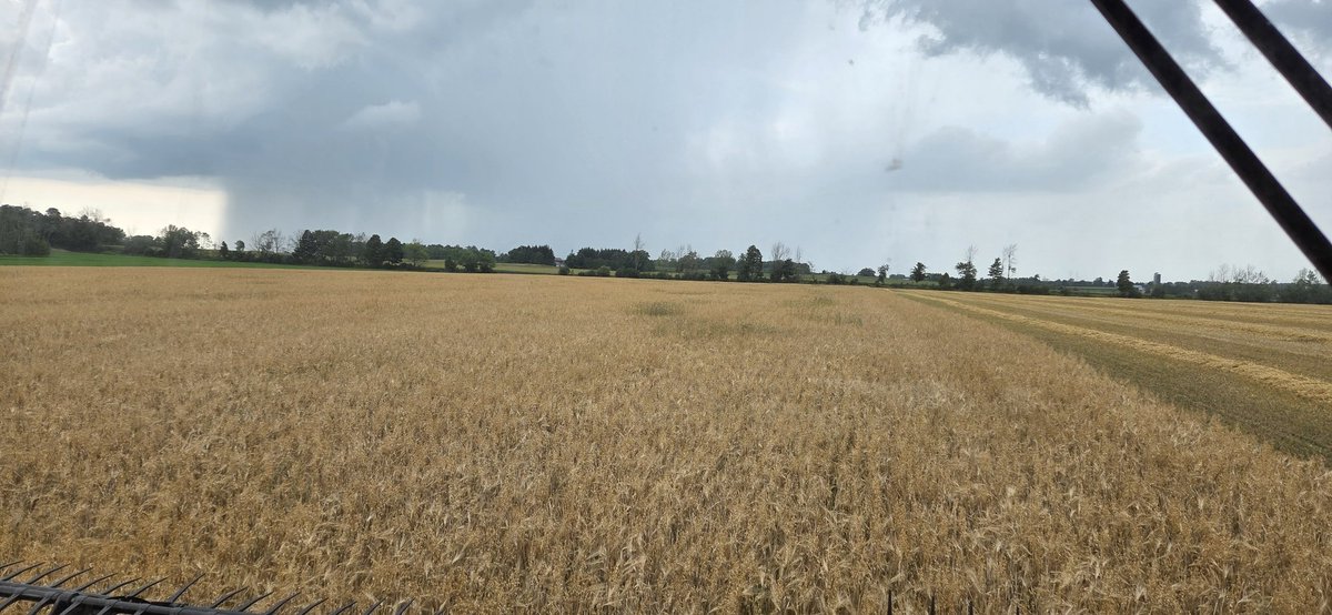 Hoping this amounts to something