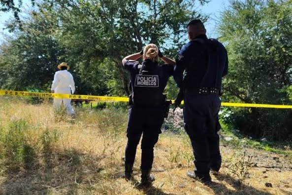 DigitaMorelos's tweet photo. #Morelos, la tierra que nos Unde en la violencia
¿Y la jirafa?… aún sin nombre 📷
📷 Macabro hallazgo en #Cuautla
Esta mañana, fue localizado el cuerpo de un hombre maniatado y en avanzado estado de descomposición en los campos de Cañada Larga, límite entre Cuautla y #Yautepec https://t.co/rGG6LhWZCa