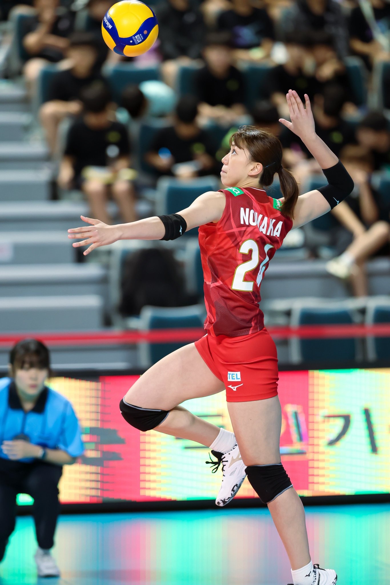 ヴィクトリーナ姫路 野中瑠衣選手 日本代表 直筆サイン色紙 fairy.bees