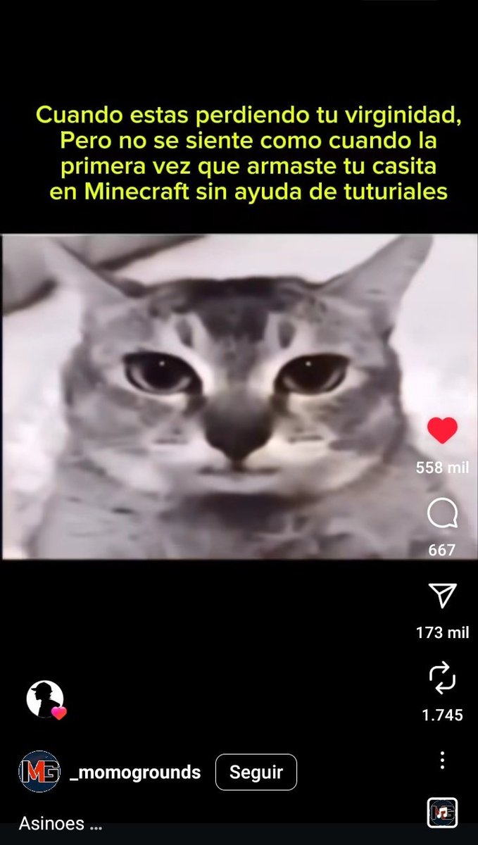 shitpostspreen's tweet photo. https://t.co/hNKOkdLURK