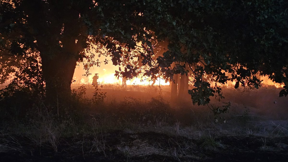 #IFAGranxaOimbra | Non sempre chegamos a tempo, pero intentámolo. Aforrunadamente aen danos persoais. 

#Verín #ourense