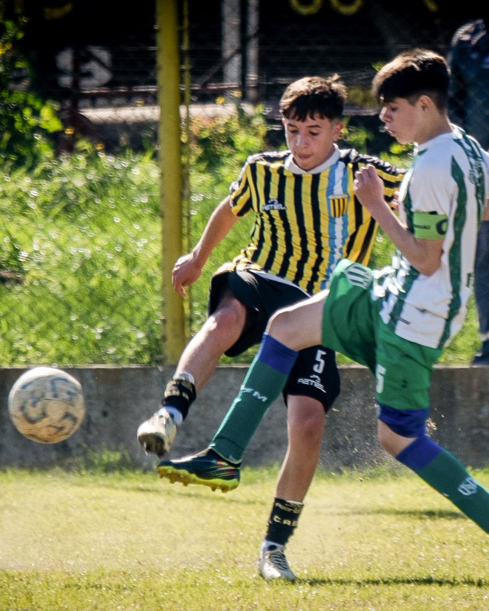 Club_AlteBrown's tweet photo. ⚽️ ¡Jornada de juveniles contra San Miguel!

Las categorías juveniles de AFA disputaron la fecha 16 del Torneo de la Primera Nacional. Las más grandes jugaron de visitante y las más chicas, en Casanova. Estos fueron los resultados:

❌ 4ª: 3-4 (Gimenez, Chavez y Andrade)
🤝 5ª: 1-1 (Barreto)
✅ 6ª: 2-1 (Garcia y Ludueña)
🤝 7ª: 1-1 (Lopetegui)
✅ 8ª: 2-0 (Prado y Garcia)
❌ 9ª: 0-3