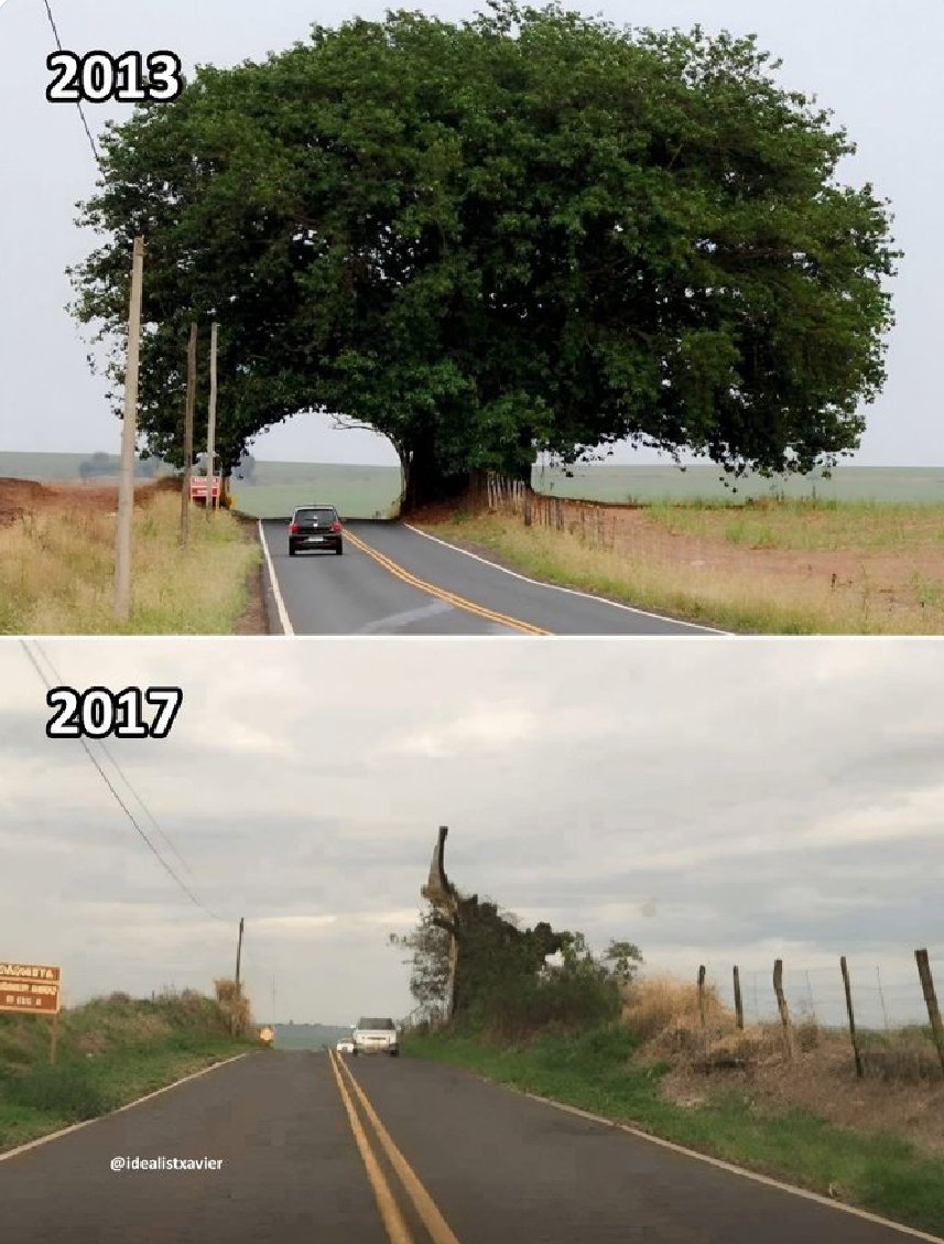 L'estil actual dels ajuntaments...🙁