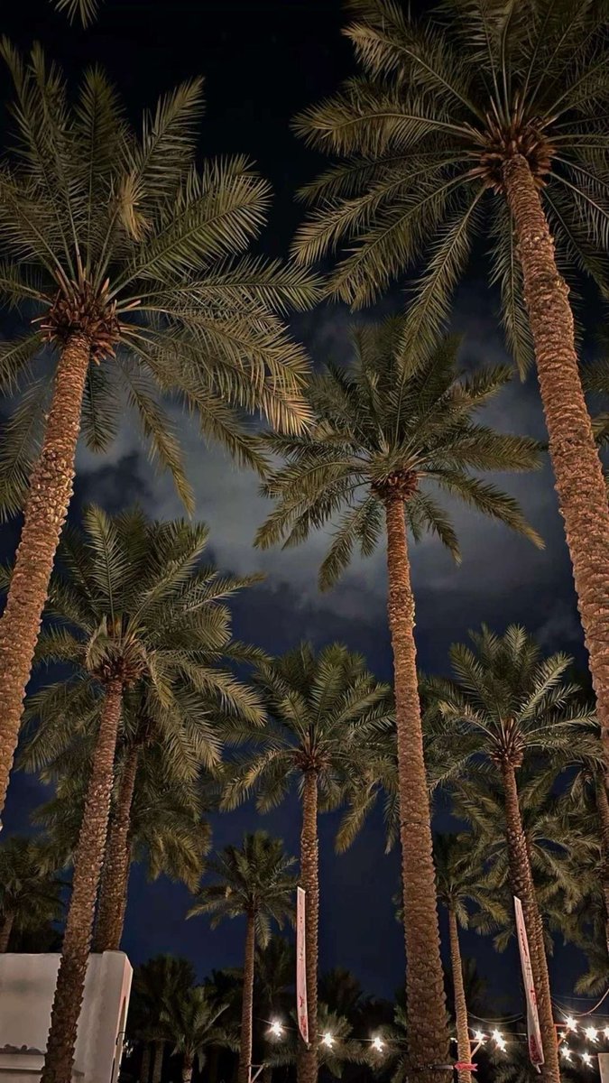 FariiFs's tweet photo. "والله ان صدري معافى وخفاقي نظيف
لو أشوف الحزن في عين حسّادي زعلت" https://t.co/Npuduh2MhY