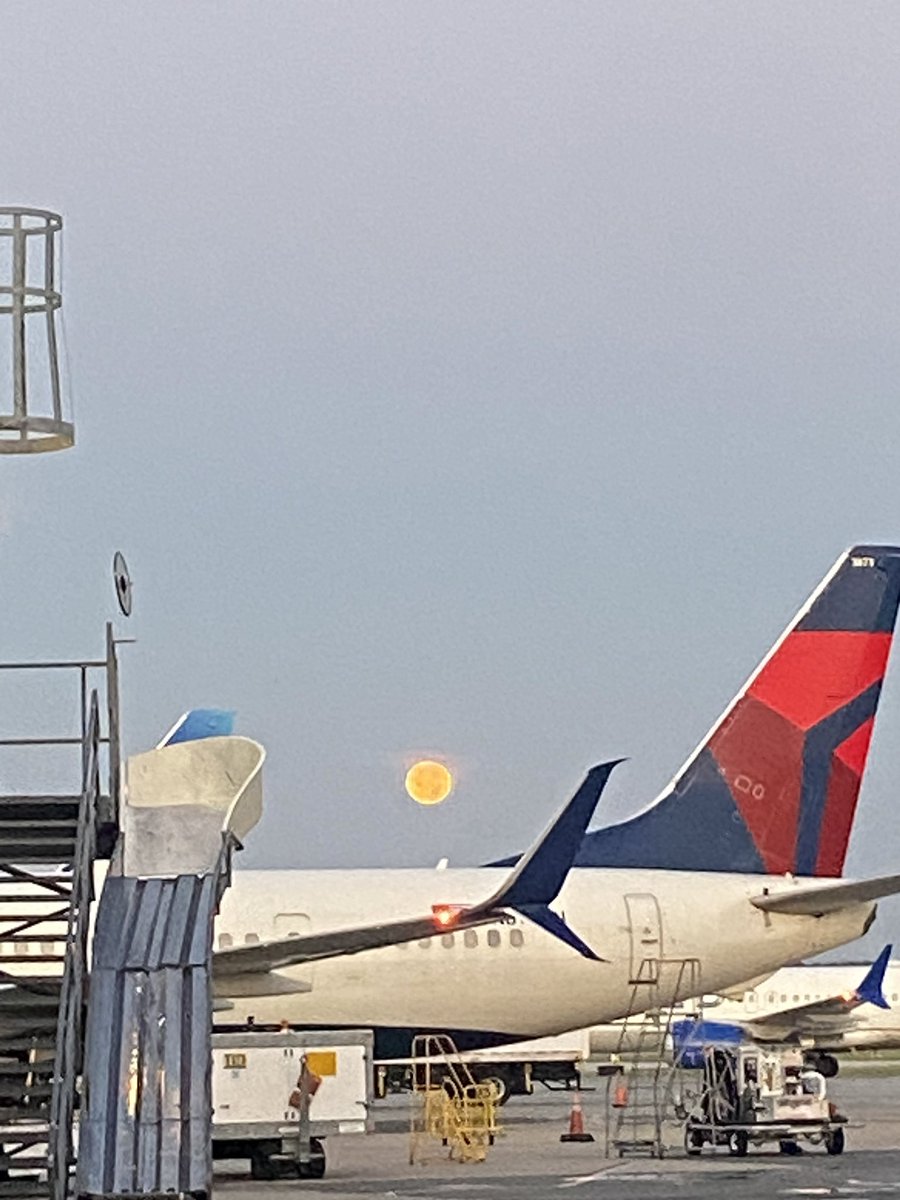 Suikie3's tweet photo. 2 much airport this year https://t.co/h0KYrZxjo5