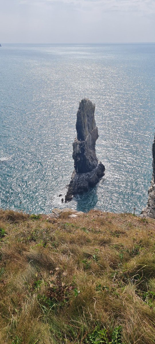 Pam99479238's tweet photo. Another beautiful day walking the wales coastal path - 32,721 steps and 23km. 
Todays walk took us past the Green Bridge of Wales - a stunning archway in the sea, and we spoilt ourselves with lunch by St Govan's Chapel - what a beautiful spot. 💙 https://t.co/yrH5ZbU6j6