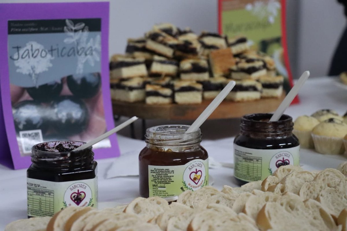 Charlie Garcia-Mata tweet media