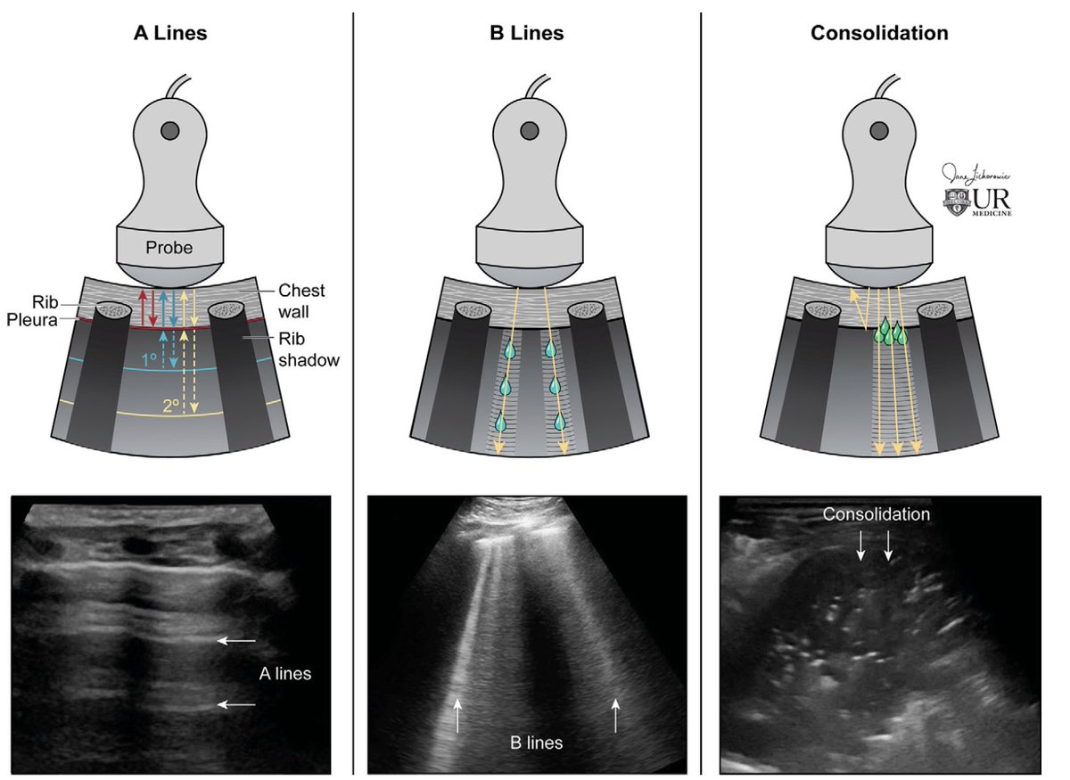 Facundo Rosso tweet media