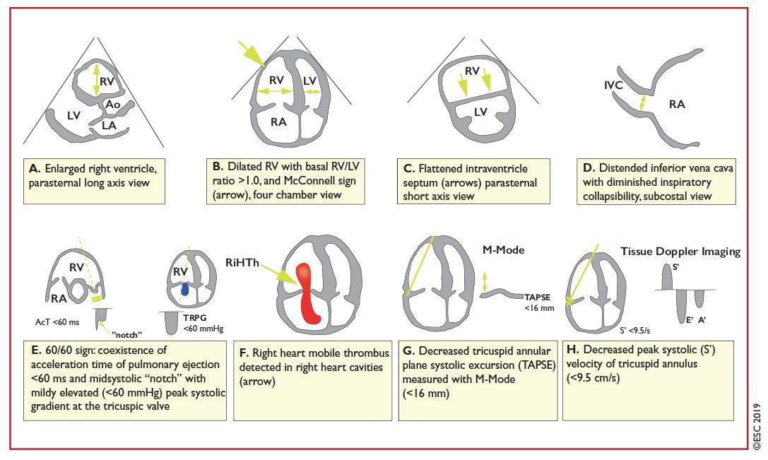 Facundo Rosso tweet media