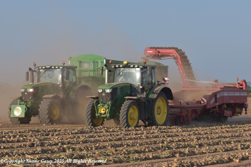 #Harvest2025 is getting close to the end and given the circumstances its been a good one. Really delighted with what I have got. Given the weather it has been near ideal conditions. A small selection from the last few days and hopefully a few more before it comes to an end