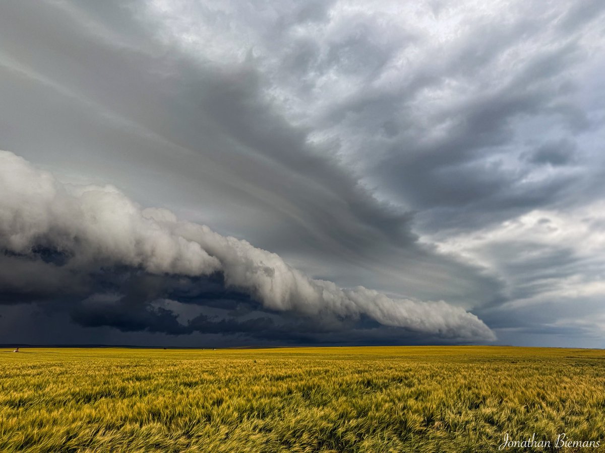 Nothing like shelf clouds on the prairies… 

August 10, 2025
Drumheller, Alberta 

#abstorm #shareyourweather #stormhour