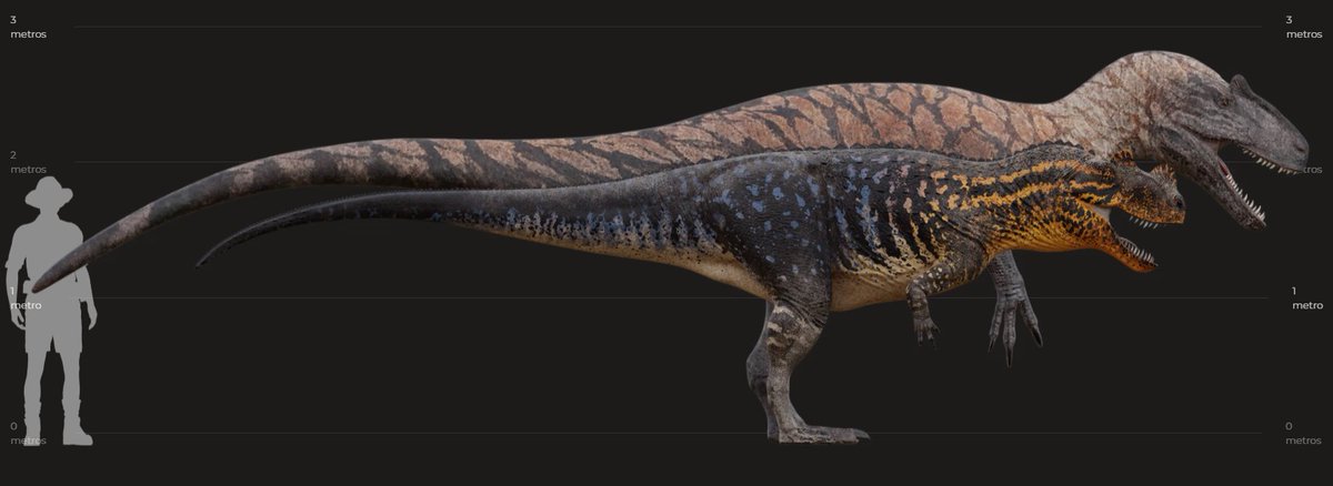 Ceratosaurus Size Compared To Allosaurus