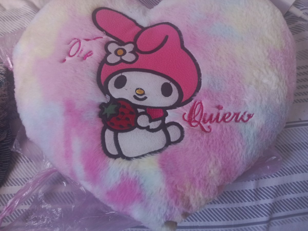 Feliz cumpleaños a mi, mis hermanas me regañaron una almohada de My Melody