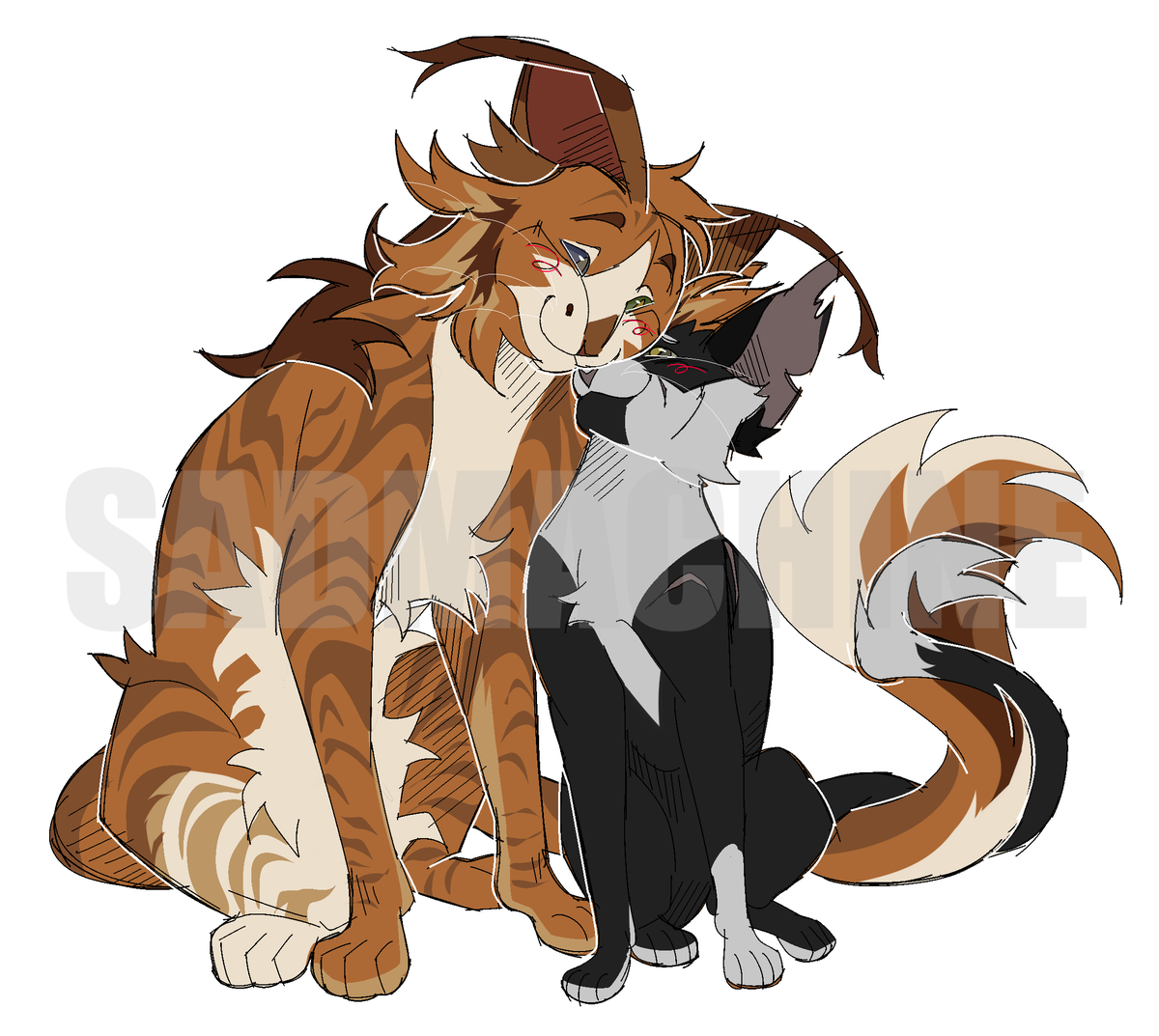 another day another kitty cats