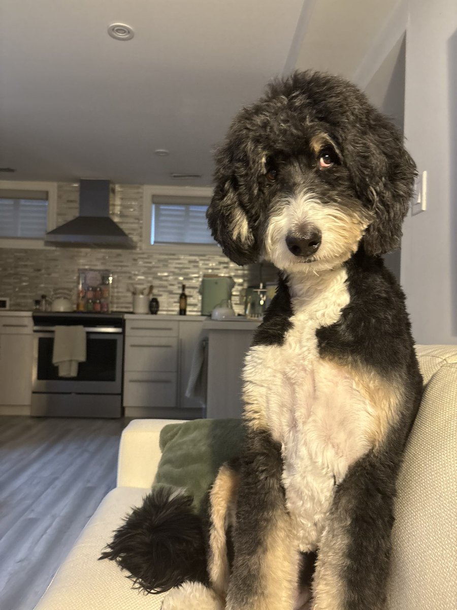 Michelle tweet media