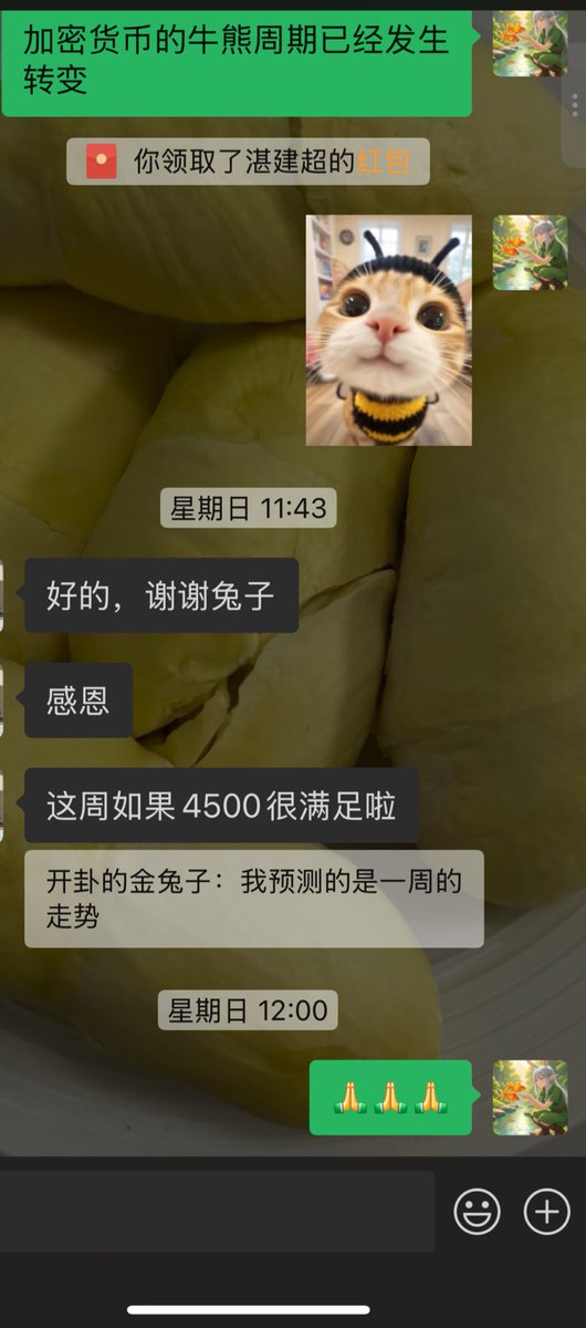 开挂的金兔子☯️🍊 tweet media