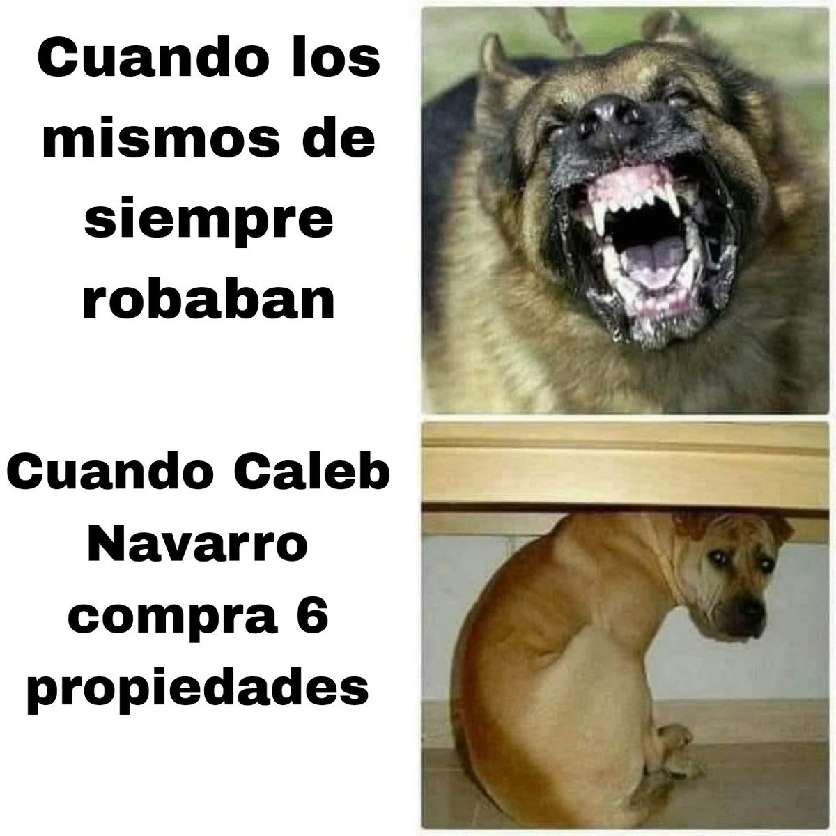 Parece meme, pero no lo es....