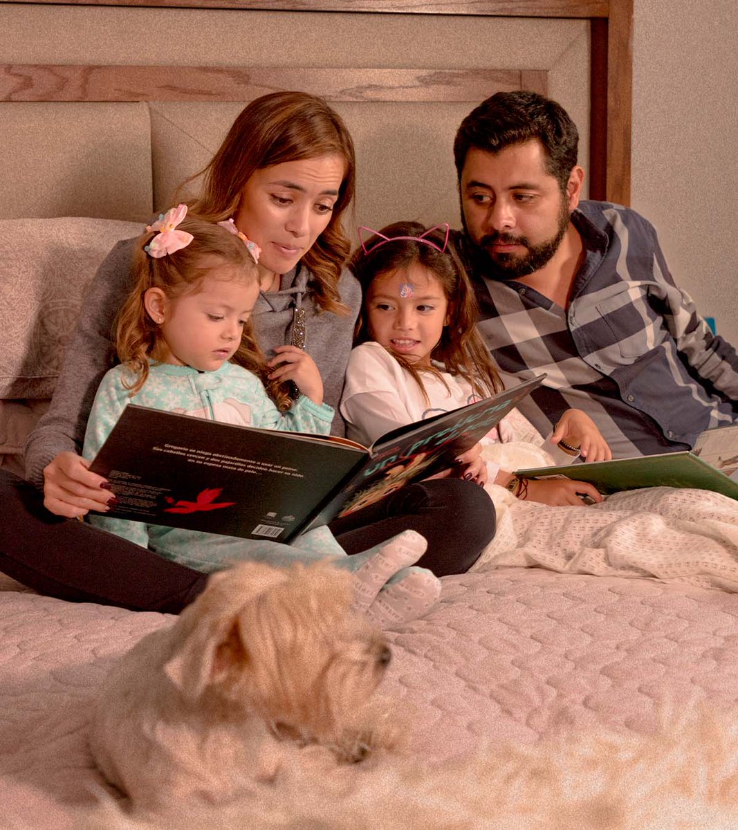 Cada cuento, conversación y momento compartido con quien amamos deja huella. Sigamos cultivando esos lazos que nos dan sentido
#AmorDeFamilia #HistoriasQueMarcan #PequeñosGrandesMomentos