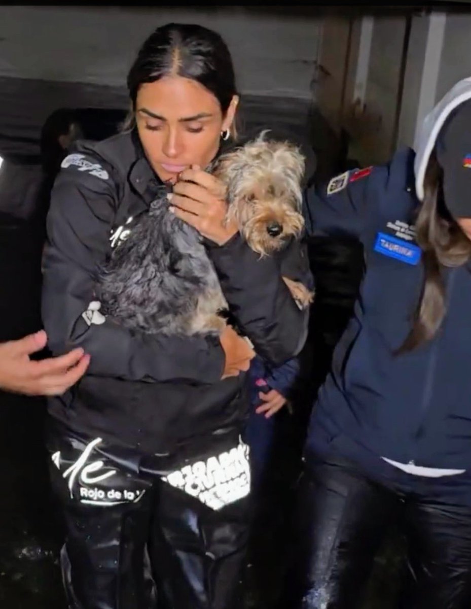 Ahora sí que : ! Que perro oso ! #Ladypelotas2