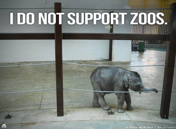 Elephants deserve vast landscapes, not confined spaces 🐘 

#WorldElephantDay
#ElephantDay