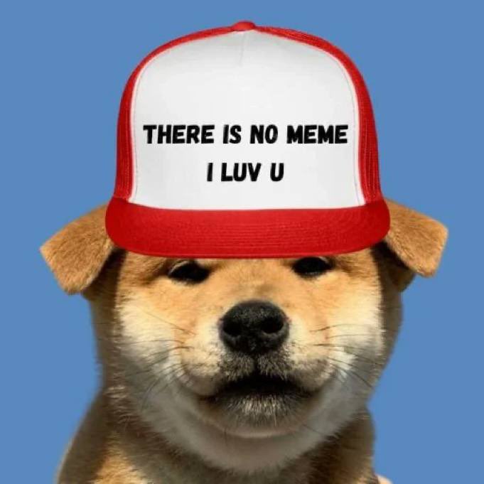 It’s always been inu 

31farvCRy1xMY1ZvGBMrFVzdJwHqbpACzjmEiqncpump