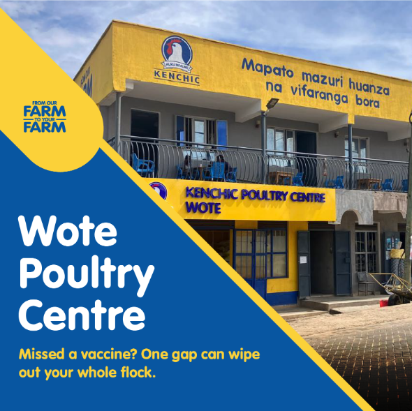 Kenchic_Chicks's tweet photo. Wote Poultry Centre serves farmers in Makueni, Machakos, and Kitui—Walk in for guidance on the right vaccines and timing for your flock.
#KUKUaNaweFromDayOne https://t.co/E74U8ggBct