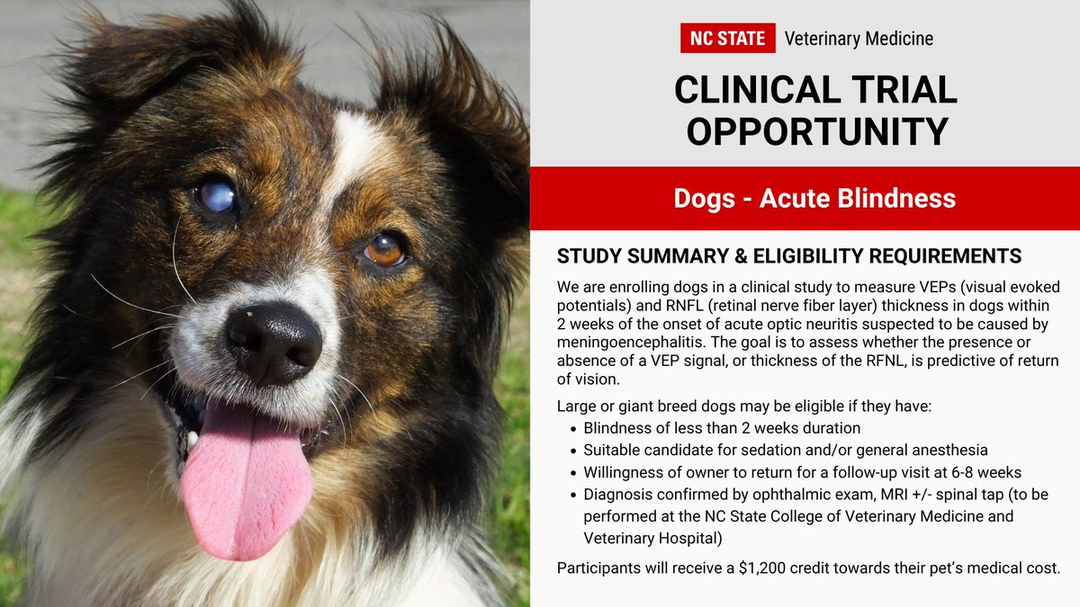 Clinical Trials: New Studies. We're looking for canine participants. Use links for more info &amp; eligibility requirements. Please share!

Bone Cancer: ncst.at/41Et50WCURy
Cluster Seizures: ncst.at/7pbW50WCURx
Acute Blindness: ncst.at/XoTN50WCURz
