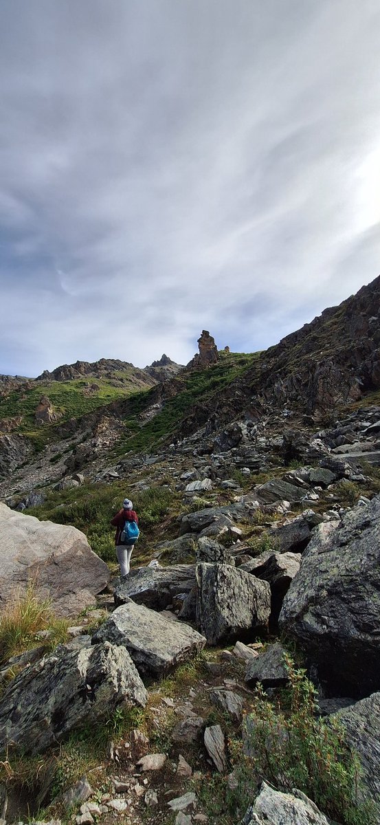 Weekend Panda tweet media