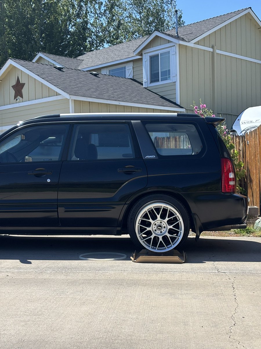 I feel I have made the *correct* choice