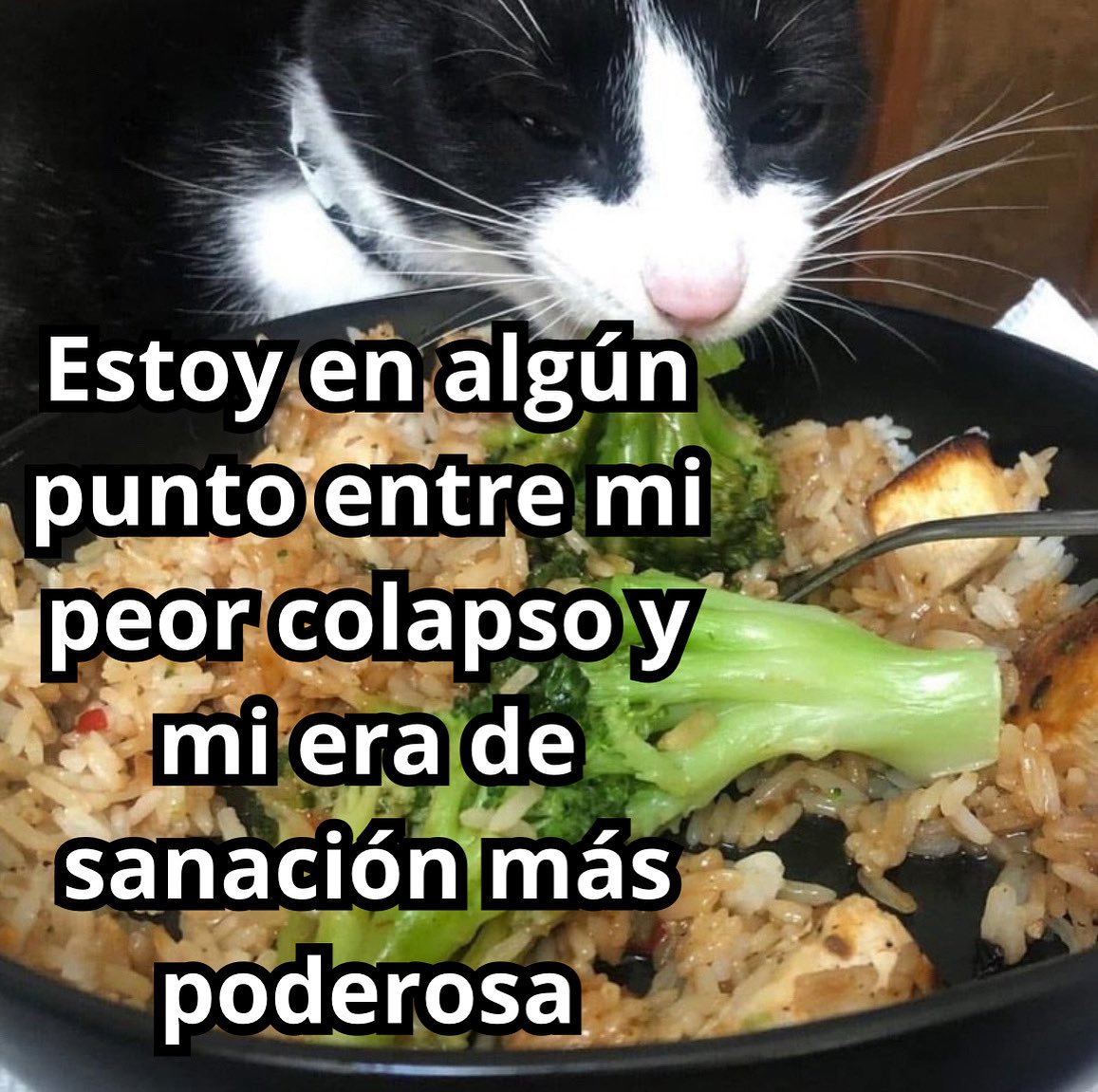 conoloracigarro's tweet photo. https://t.co/fRpIeLQ0Ac