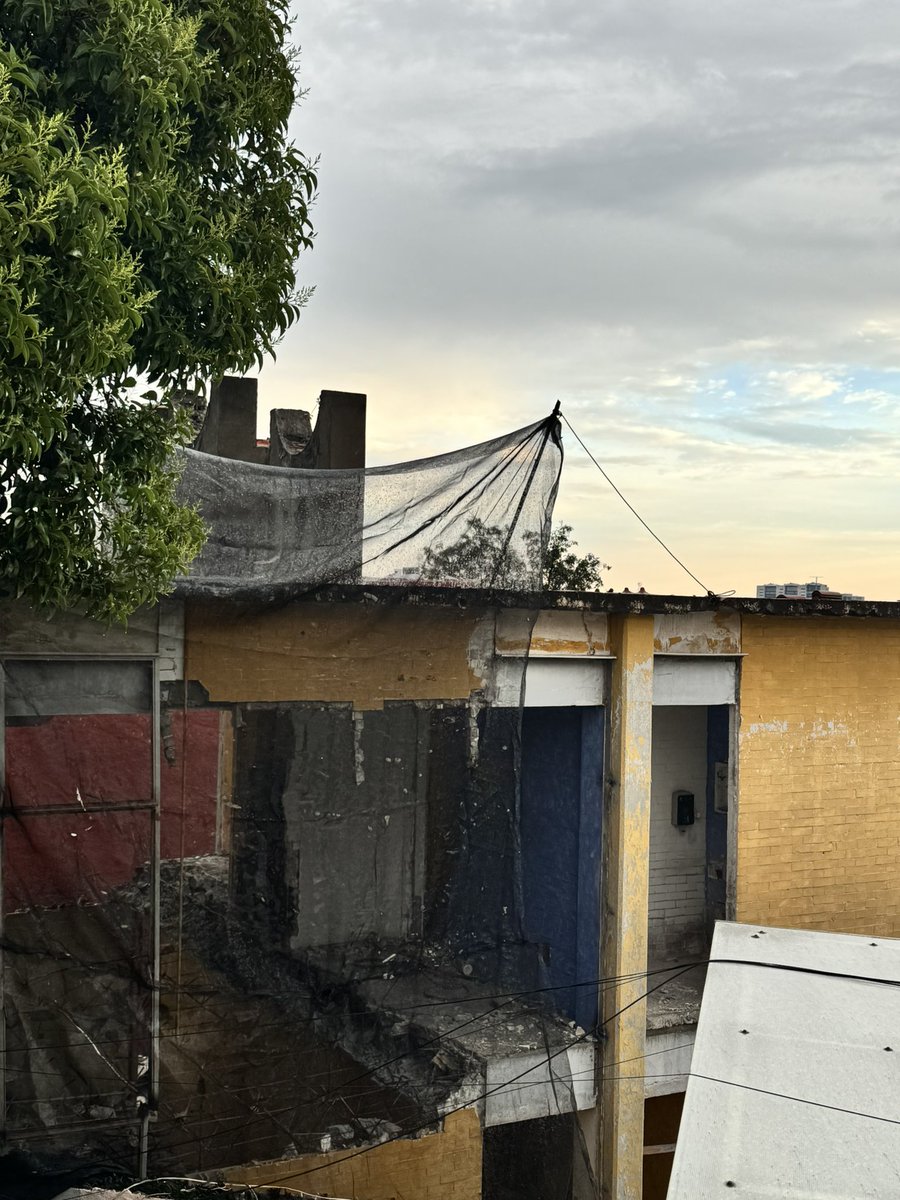 Obsevador Critico tweet media