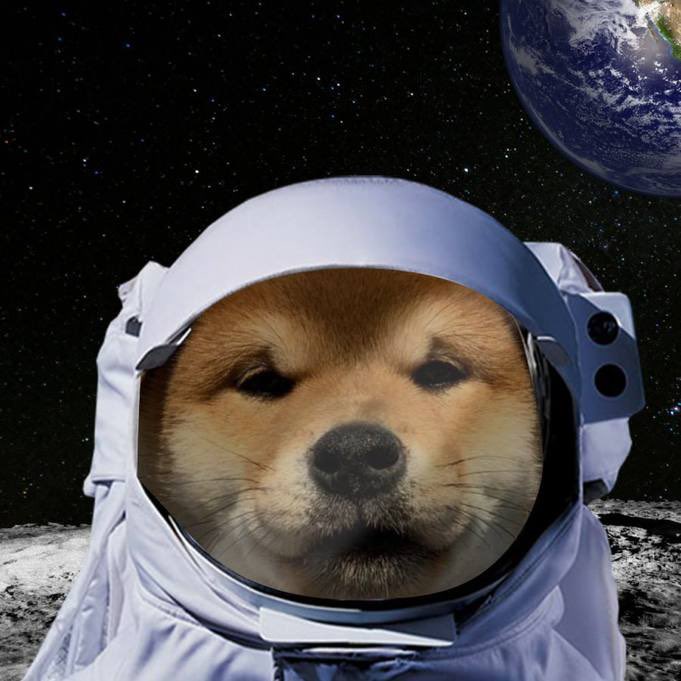 Always been $inu to go to the moon 🌕 

31farvCRy1xMY1ZvGBMrFVzdJwHqbpACzjmEiqncpump