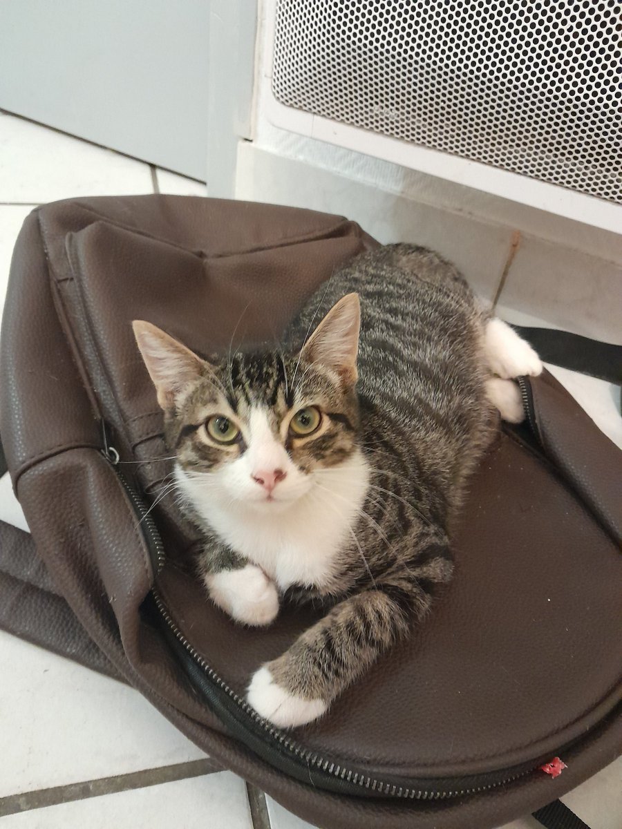 SieurDoc tweet media