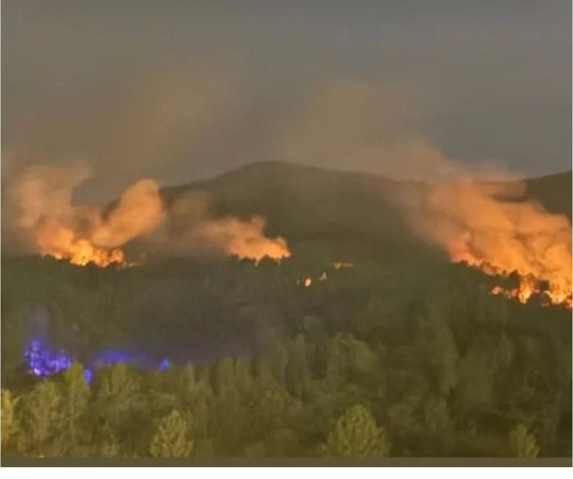 📸 Imatges de l’incendi d’Amer i Susqueda.