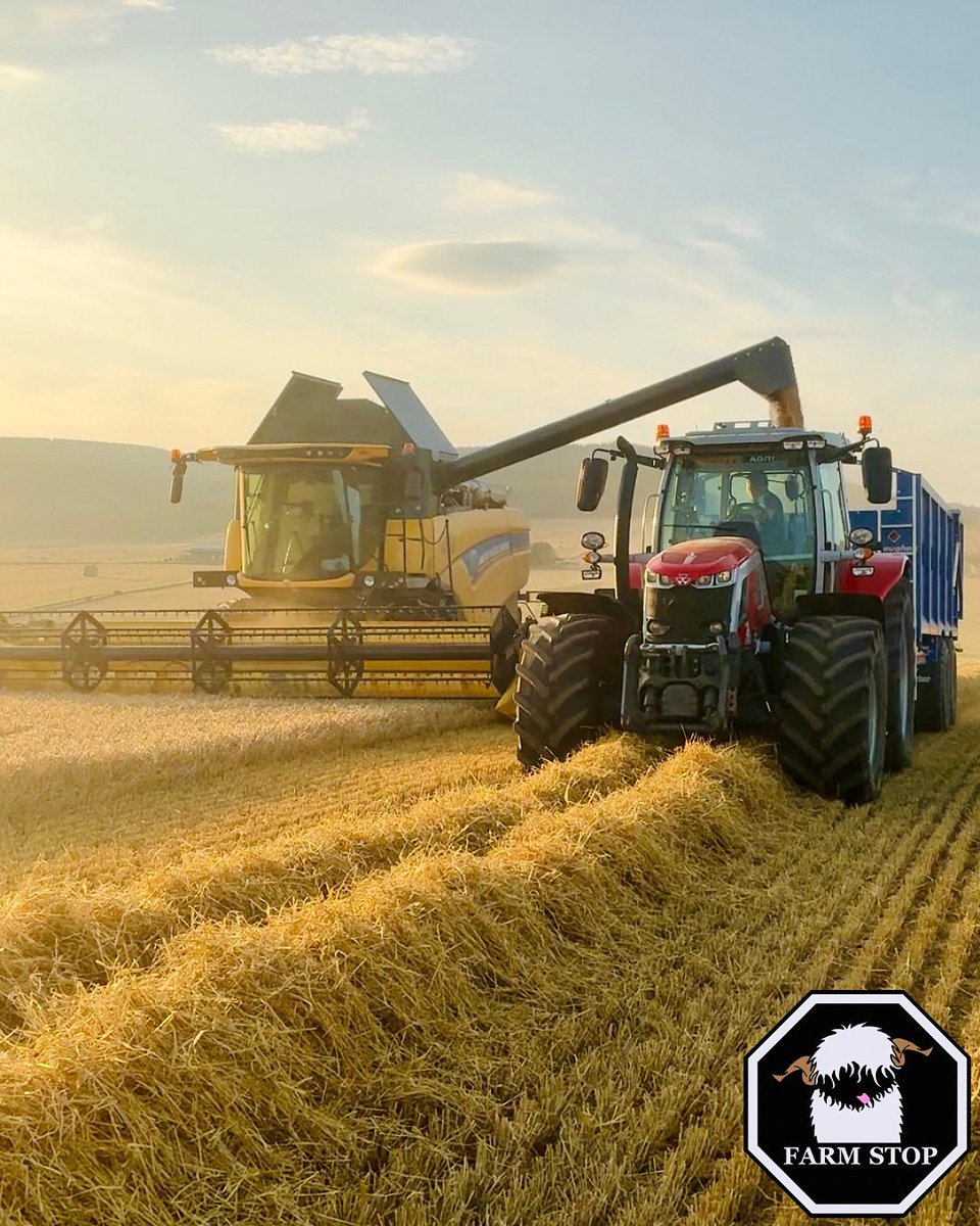 FarmStopABZ's tweet image. 🌾🚜 HARVEST IS WELL UNDERWAY 🚜 🌾 

Farmer Andrew and Dode have been busy harvesting and they are still going! ☀️ 

Video coming soon 👀 

#Harvest #FarmLife #ScottishFarming #Aberdeenshire #NoFarmersNoFood #BackBritishFarming 
#FamilyFarm