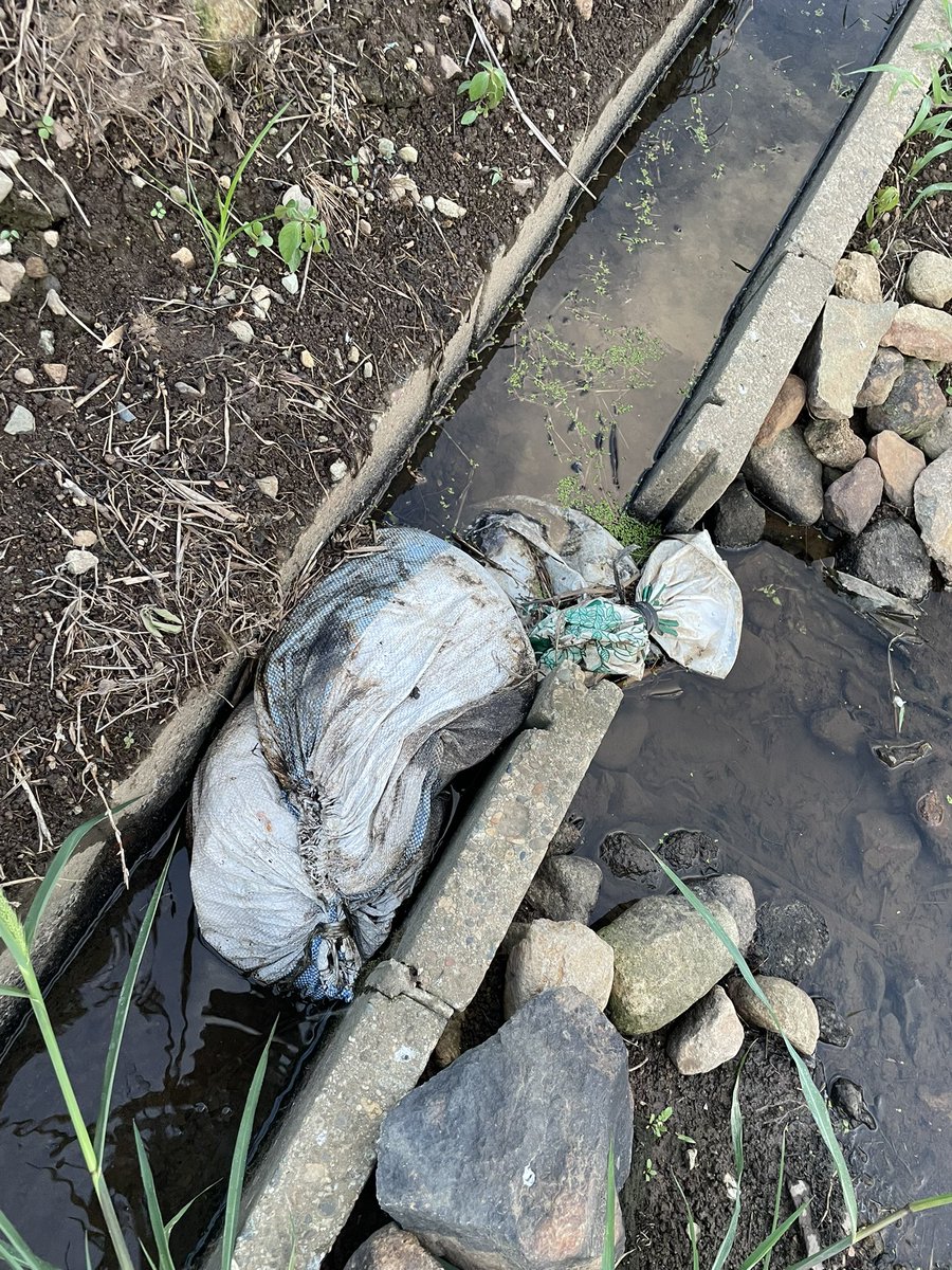 信じられるか？

自分の田んぼにだけ水が入ればいい、他の田はどうなってもいいし知らない

これをやるのが大ベテラン農家

下の田んぼには水がきません