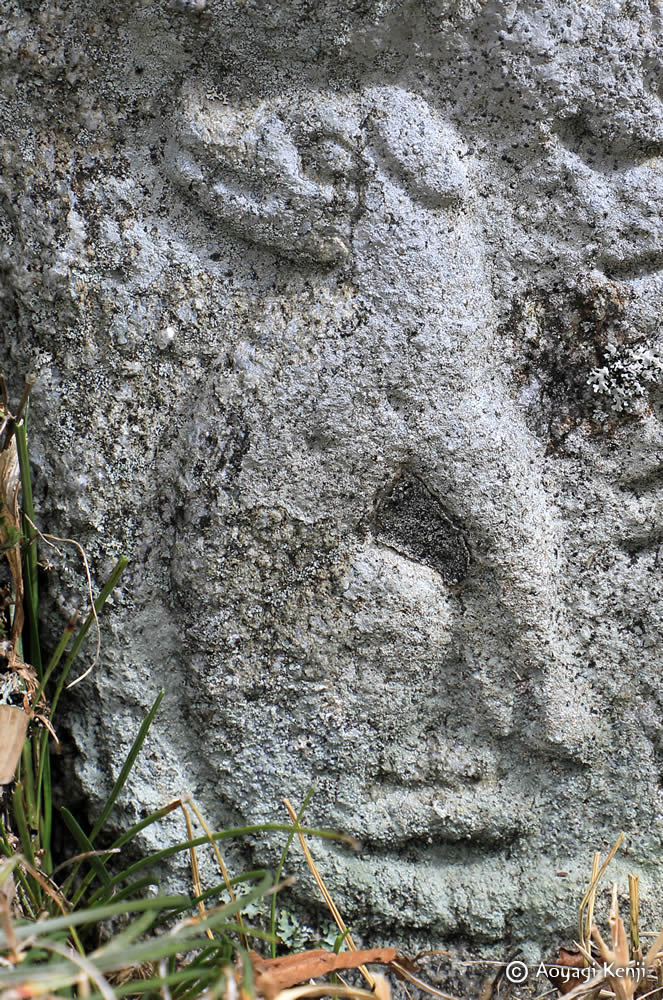 8月13日は　#国際オオカミの日 (International Wolf Day)

お犬さまのレリーフ。垂れ耳の表現は、狐、猫では見たことありません。

#狼 #狼像 #狼信仰 #ニホンオオカミ