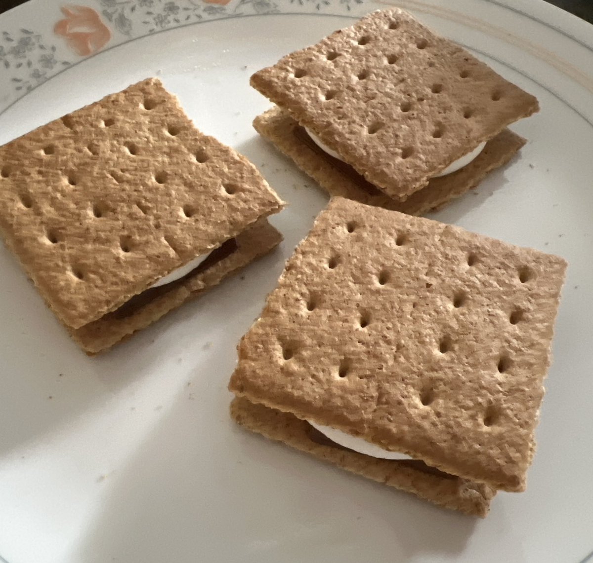 I made s’mores for a snack 😋 after getting my blood taken 🥺
#lunomies