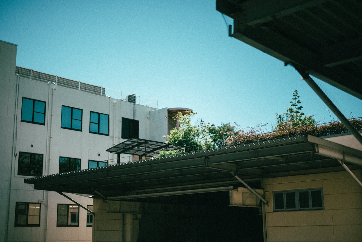 たよ (@ta062yo) on Twitter photo 