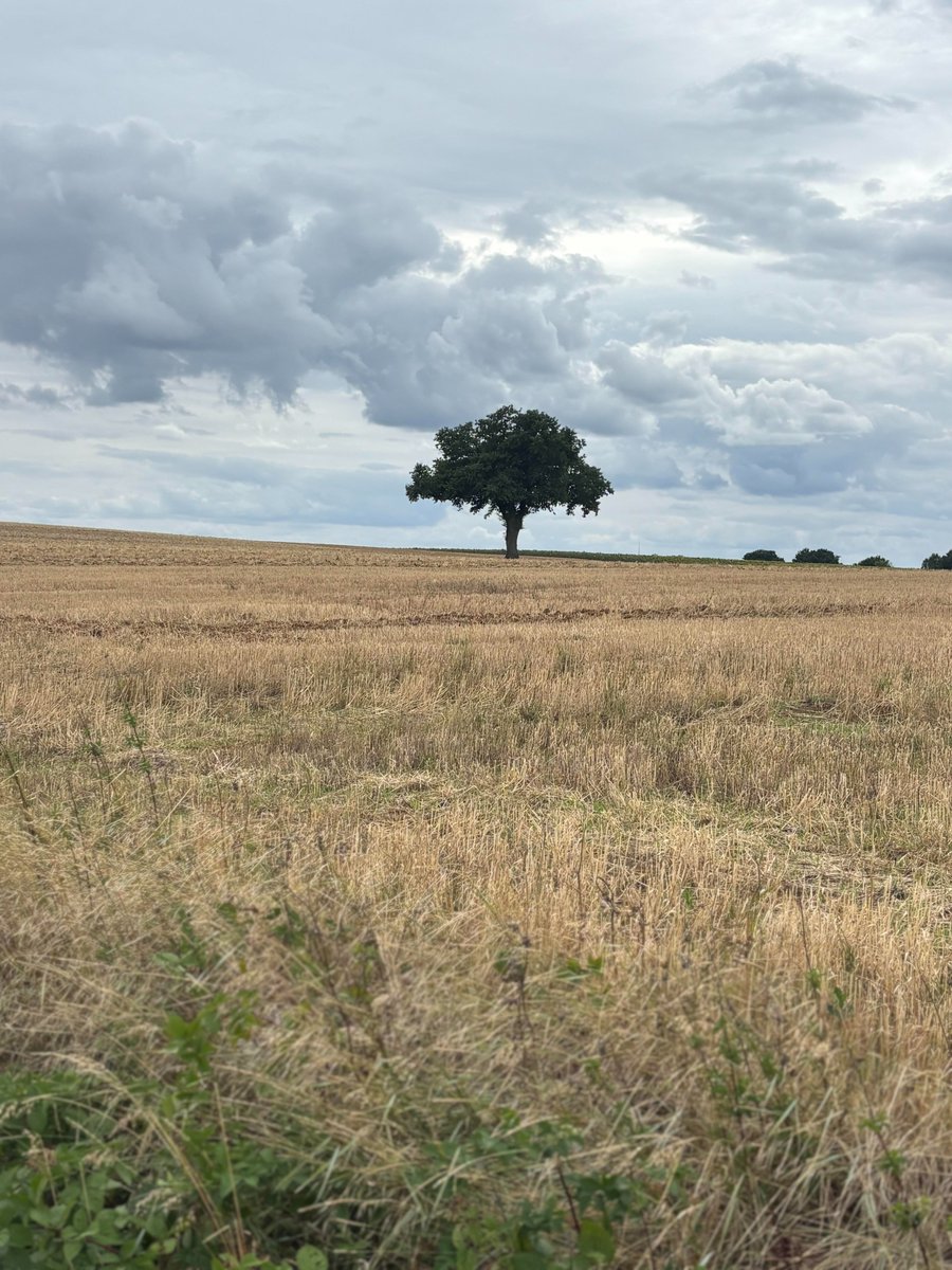Dawndy Mercer Plank (@dawndyoncam) on Twitter photo I love this lone tree near our language school in France. (Reminds me of Jeremiah 17:7-8.)
When we don't feel strong, though, where can you turn for wise advice?
I ask <a href="/DanielDickard/">Daniel Dickard</a> that in our latest <a href="/ShandonBaptist/">ShandonBaptist</a> podcast.
youtu.be/3wrorW0Wh-M?si…
shandon.org/shandon-plus/ I love this lone tree near our language school in France. (Reminds me of Jeremiah 17:7-8.)
When we don't feel strong, though, where can you turn for wise advice?
I ask <a href="/DanielDickard/">Daniel Dickard</a> that in our latest <a href="/ShandonBaptist/">ShandonBaptist</a> podcast.
youtu.be/3wrorW0Wh-M?si…
shandon.org/shandon-plus/