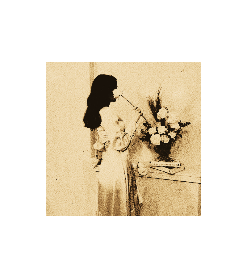 𝗇𝖺𝗆𝖾 𝗈𝖿 𝗉𝗅𝖺𝗒𝖾𝗋 𝖼𝗁𝗈𝗂𝖼𝖾  ᛪ༙  membro do clã montévano, com o talento de precognição subjetiva, ela é retratada como uma otimista que ignora os conselhos dos outros e faz as coisas do seu jeito, o que geralmente resulta em um resultado melhor do que o previsto.