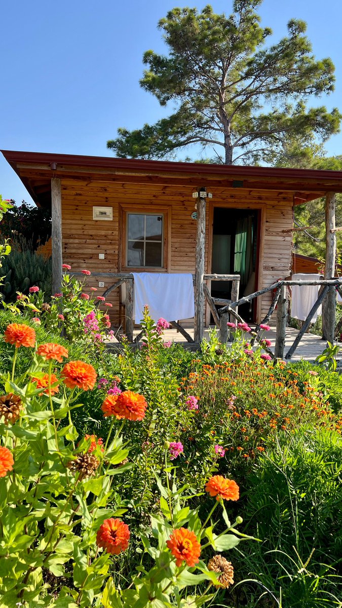 Günaydın can dostlarım yellitepeden selamlar